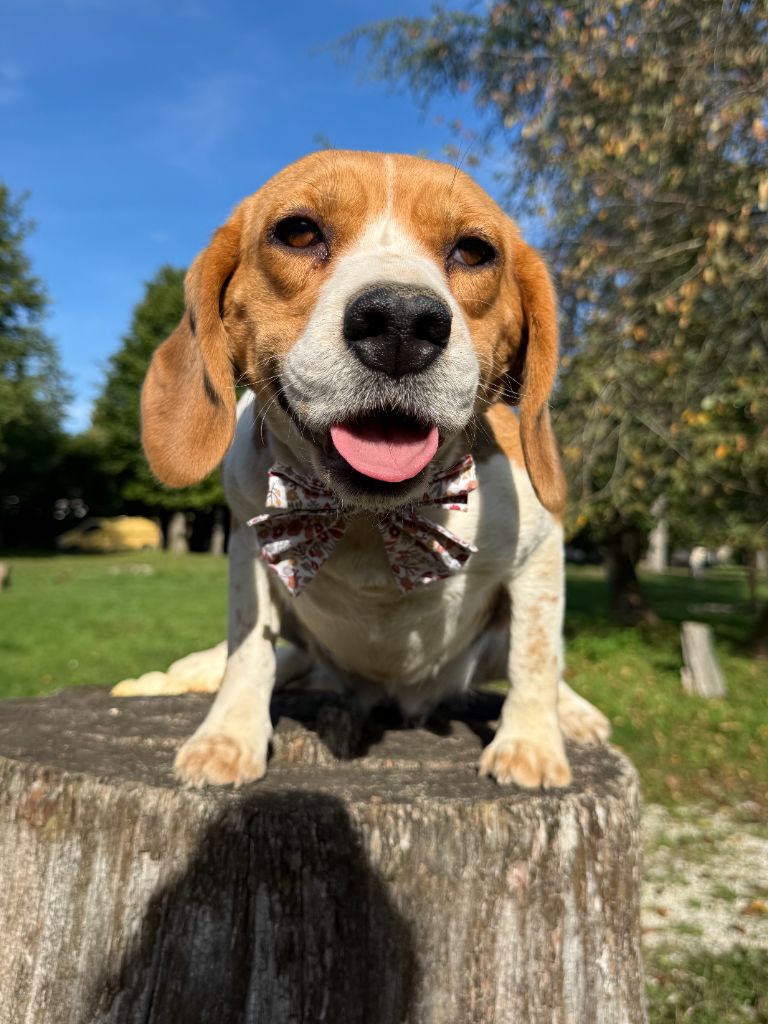 Rita2 Des bords du gui