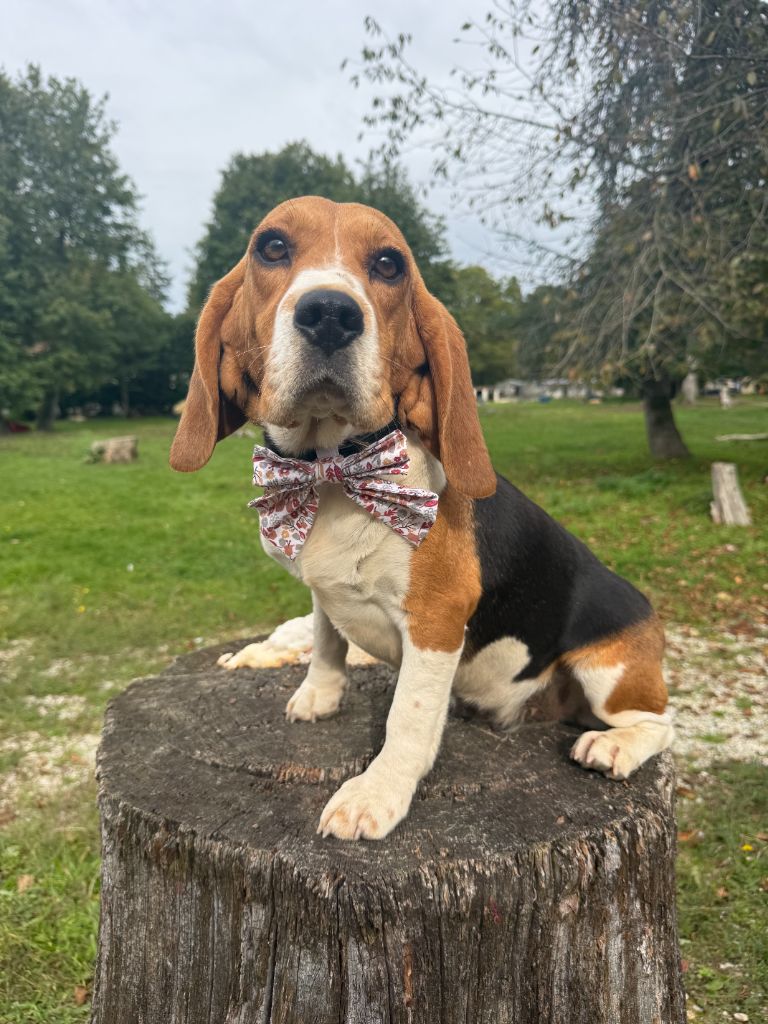 So pretti (Sans Affixe)