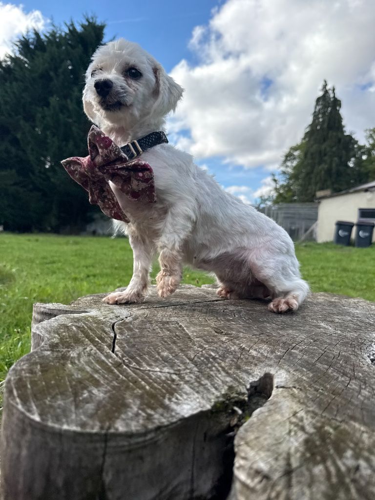 Penelope (Sans Affixe)