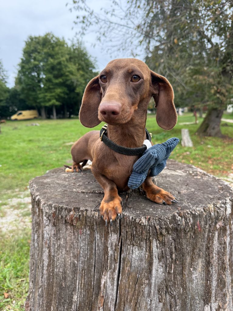 U2 de la Garenne en Hurepoix